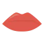 Lips icône 64x64