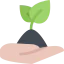 Sprout icon 64x64