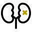 Kidney biểu tượng 64x64