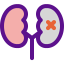 Kidney icon 64x64