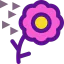 Flower icon 64x64