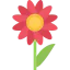 Flower icon 64x64