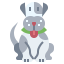 Puppy icon 64x64
