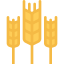 Wheat icon 64x64