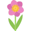 Flower icon 64x64