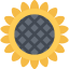 Sunflower icon 64x64