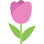 Flower icon 64x64