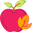 Apple icon 64x64
