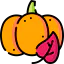 Pumpkin icon 64x64
