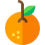Orange icon 64x64