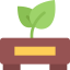 Sprout icon 64x64