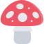 Mushroom icon 64x64