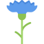Flower icon 64x64