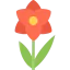 Flower icon 64x64