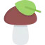 Mushroom icon 64x64