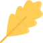 Leaf icon 64x64