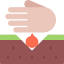 Seed icon 64x64