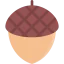 Acorn icon 64x64