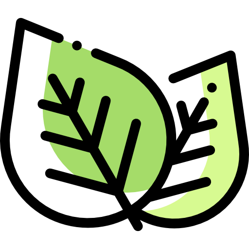 Leaf icon