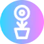 Growth 图标 64x64