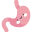 Stomach icon 64x64