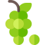 Grapes Ikona 64x64
