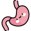 Stomach icon 64x64