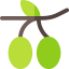 Olive アイコン 64x64