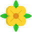 Flower 图标 64x64