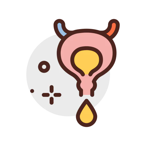 Мочевой пузырь иконка