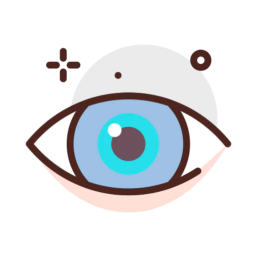 Eye 图标