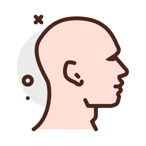 Head 图标