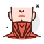 Neck 图标 64x64