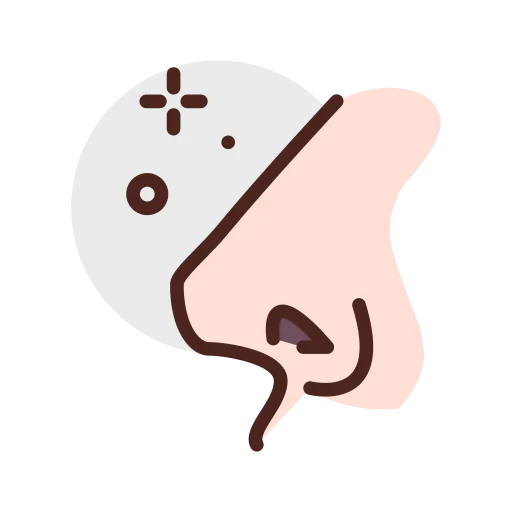 Nose 图标