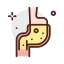 Stomach 图标 64x64
