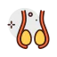 Testicles 图标 64x64