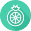 Wheel icon 64x64