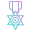 Star medal icon 64x64