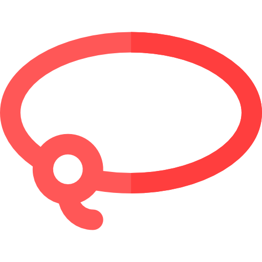Lasso icon