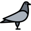 Dove icon 64x64