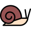 Snail icon 64x64