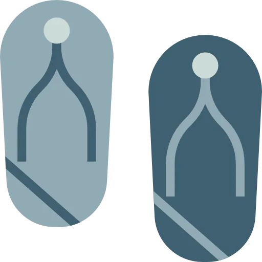 Flip flops icon