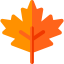 Maple leaf 图标 64x64