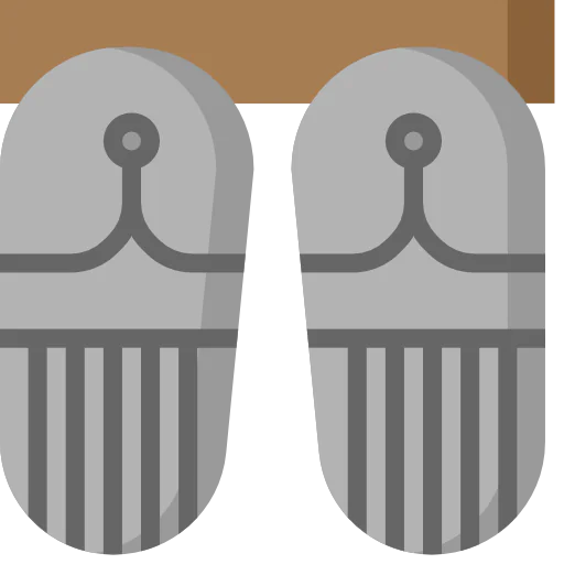 Flip flops biểu tượng