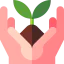 Sprout icon 64x64