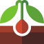 Seed icon 64x64