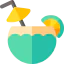 Coconut icon 64x64