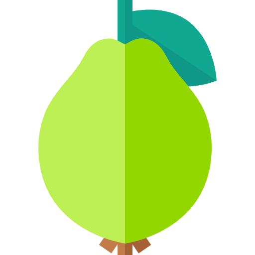 Guava icon