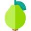 Guava アイコン 64x64