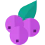 Blueberry アイコン 64x64